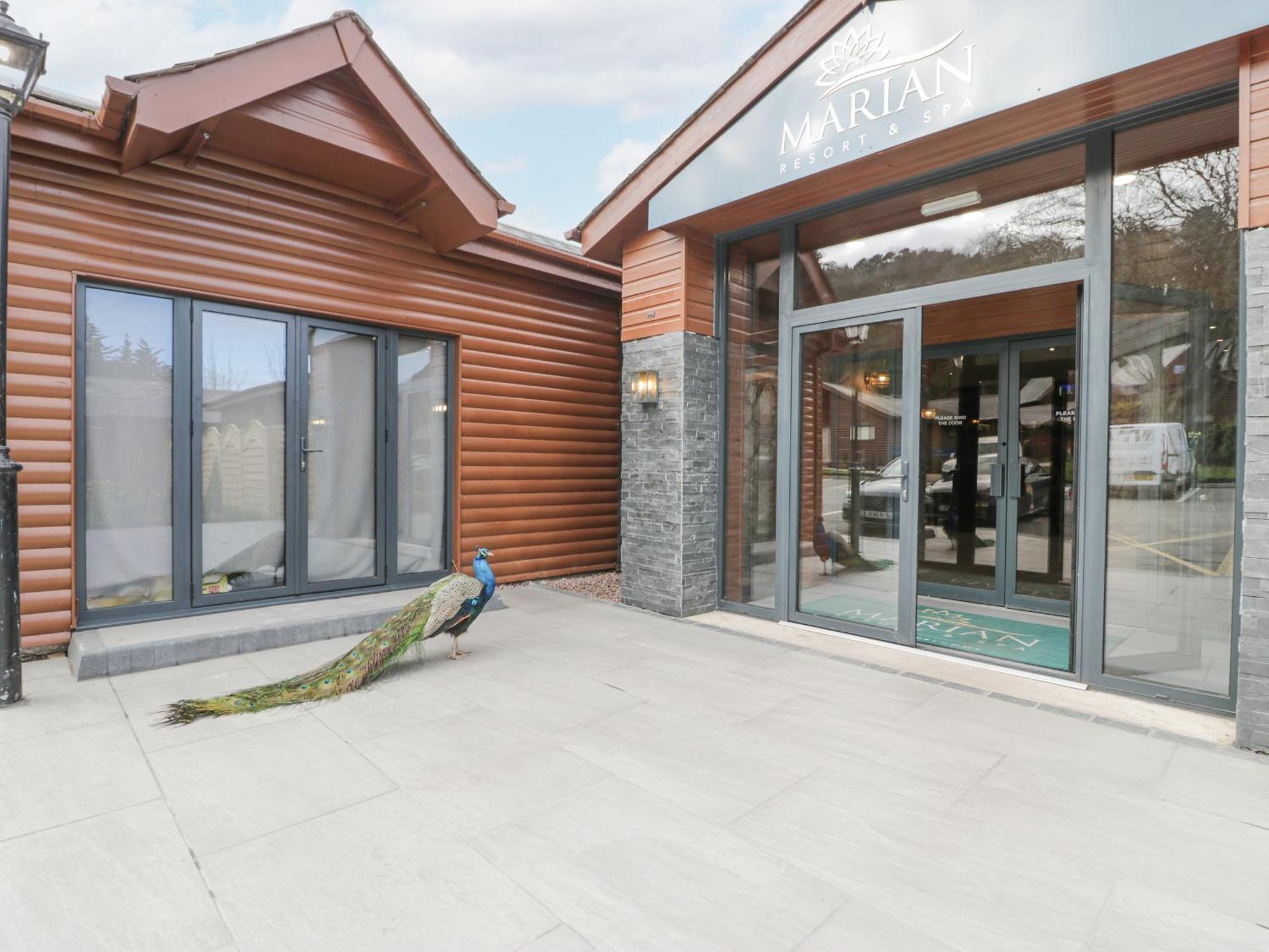 Luxury Lodge 62 Rhyl Ngoại thất bức ảnh